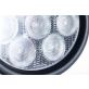 5"x7" Oval LED Flood Light Bulb WL930