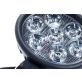 5"x7" Oval LED Trapezoid Light Bulb WL935
