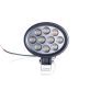 3"x5" Oval LED Flood Light Bulb WL820