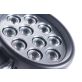 3"x5" Oval LED Flood Light Bulb WL820