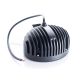 3"x5" Oval LED Flood Light Bulb WL820