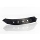Wiese 123R5 Right Twist Chisel Spike