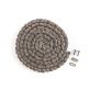 B113200A1 Combine Unloading Auger Chain fits Case-IH