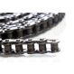 #40 Standard Single Strand Roller Chain 10'