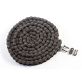 #60 Standard Single Strand Roller Chain 10'