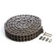 #60-2 Standard Double Strand Roller Chain 10'