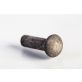 1/4 RIVET
