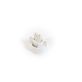 Teejet AITTJ60-11008VP-C Air Induction Spray Tip and Cap