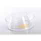 R0580 Tractor Air Pre-cleaner Bowl