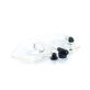 Kile KCVSTXRT Clear View Trac Caps fits Case-IH