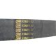 1315074C2 Combine Feeder Drive Belt fits Case-IH