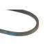A&I A30 Classical 32" V-Belt