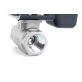 Raven 1" Fast Valve Assembly 0630173878
