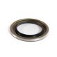 2.00'' Shaft Size, 3.066'' Seal OD, 0.25'' Wide