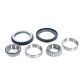 8000T Series Track Tractor Mid Roller Bearing Kit
