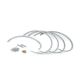 428875A2 Combine Rotor Transition Cone Vane Set fits Case-IH