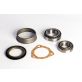 371418R92 Tractor Wheel Bearing Kit fits Case-IH