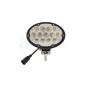 6.5" x 4.5" Oval LED Flood Light Bulb WL1250
