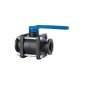 Norwesco 64162 2" Full Port Flanged Ball Valve Side Load