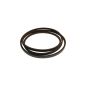 9842161 Combine Upper Rotary Screen Belt fits Case-IH