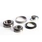 123096A2 Disk Transport Wheel Bearing Kit fits Case-IH