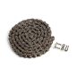 41 x 110 Herbicide & Insecticide Chain fits John Deere AA43719