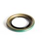 1.875'' Shaft Size, 3.005'' Seal OD, 0.25'' Wide