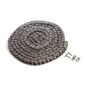 #40 Standard Single Strand Roller Chain 10'