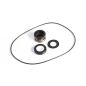 Hypro 3430-0334 Sprayer Pump Repair Kit
