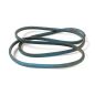 A&I A81 Classical 83" V-Belt