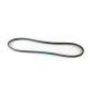 A&I B56 Classical 59" V-Belt