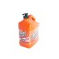 Permatex 1 gal. Fast Orange Pumice Cleaner 25219