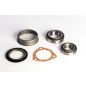 371418R92 Tractor Wheel Bearing Kit fits Case-IH