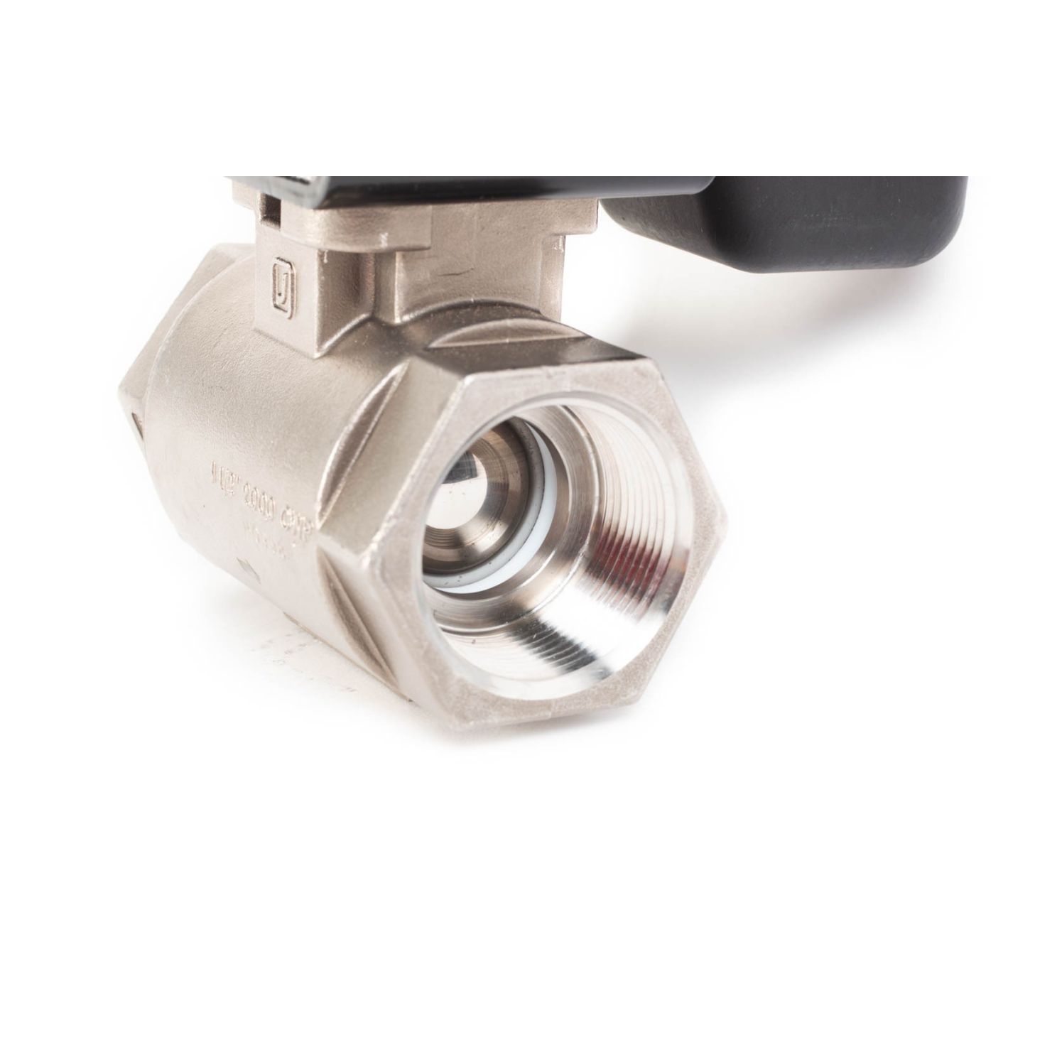 Raven 1-1/2" Fast Valve Assembly 0630173626
