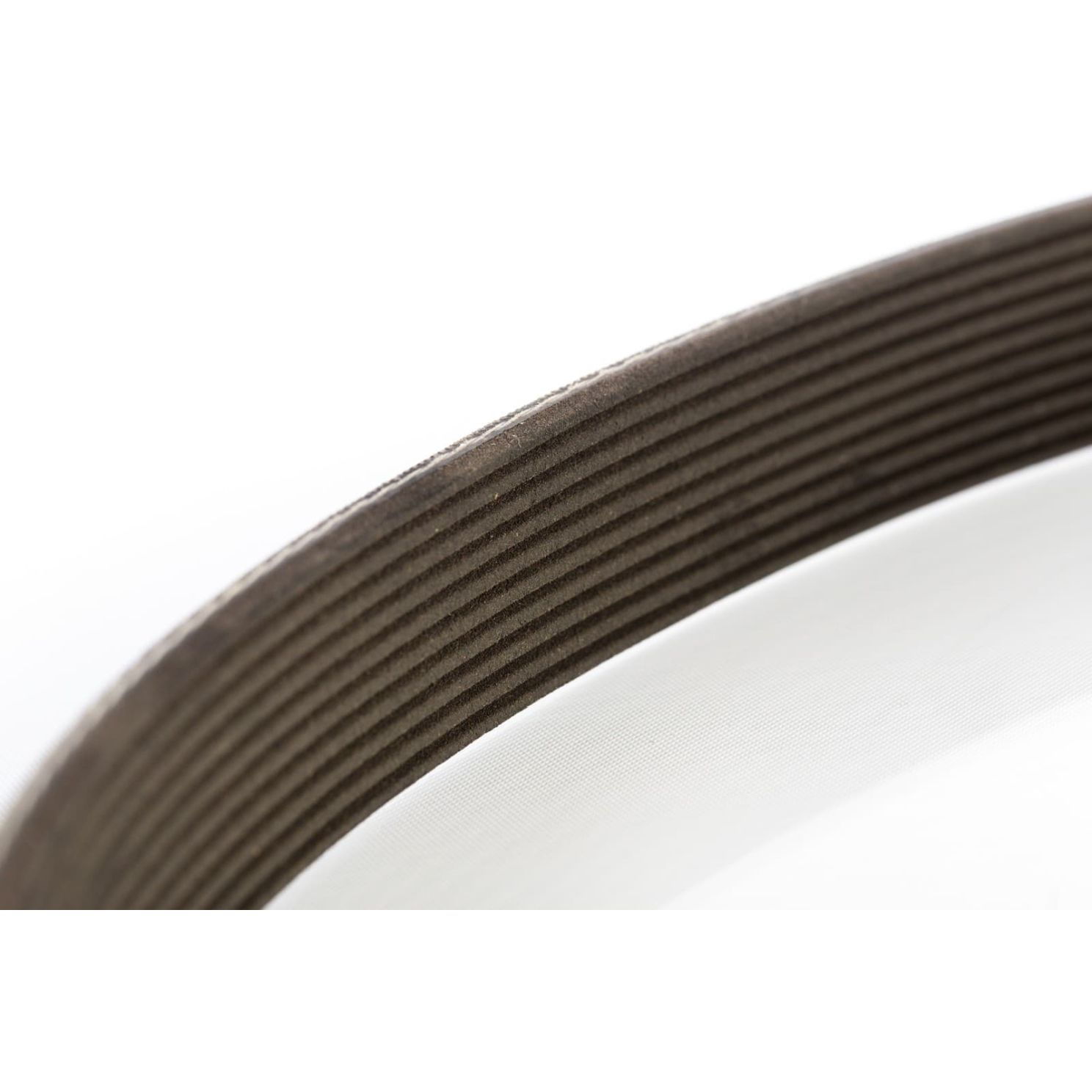 Ace BAC-28-10M Centrifugal Sprayer Pump Belt