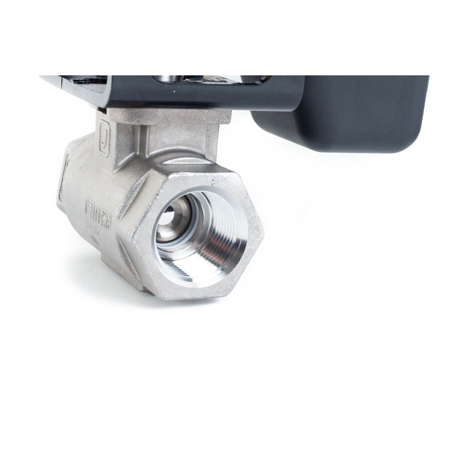 Raven 1" Fast Valve Assembly 0630173878