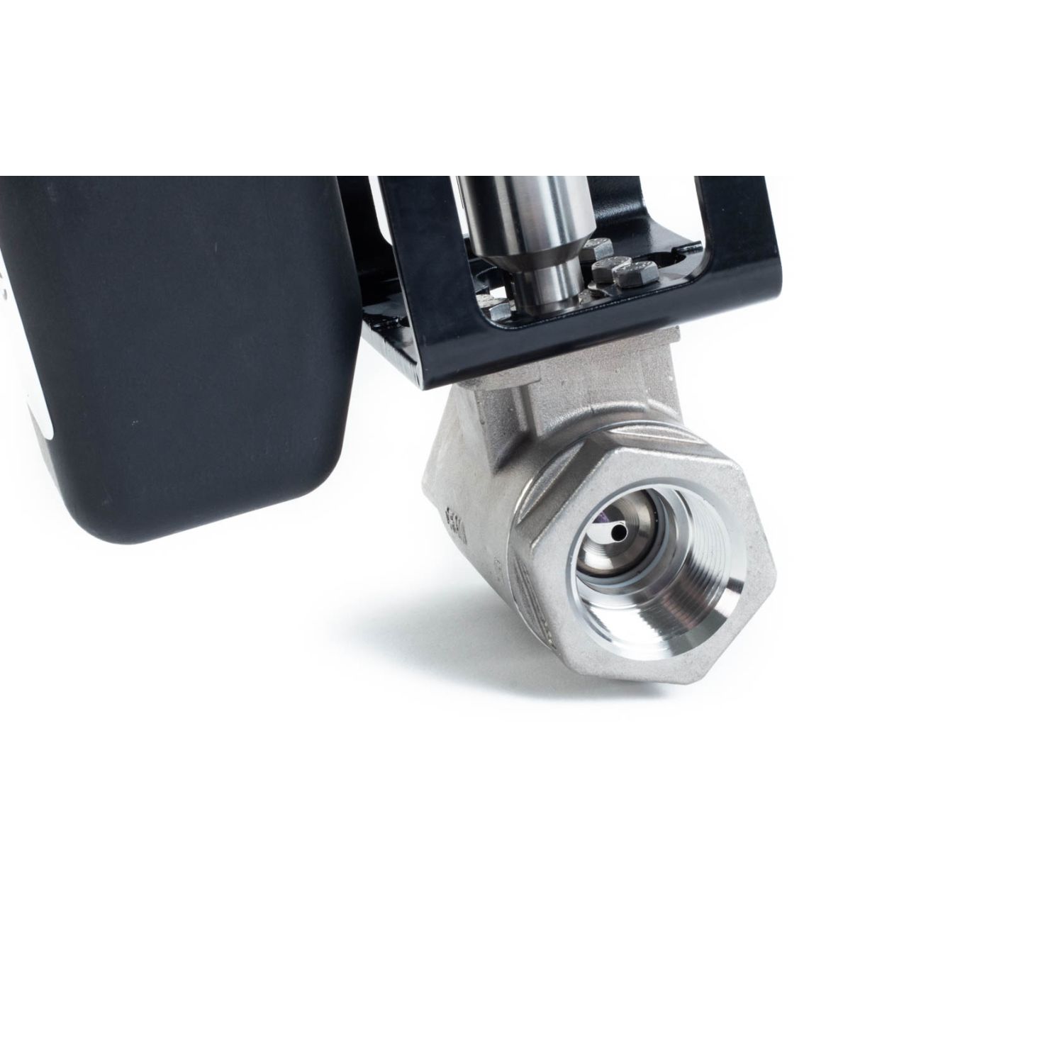 Raven 1" Fast Valve Assembly 0630173878
