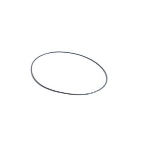Hypro 1720-0139 Sprayer Pump O-Ring