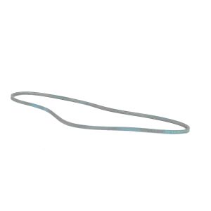 A&I B81 Classical 84" V-Belt