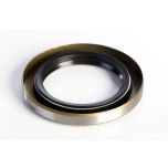1.75'' Shaft Size, 2.566'' Seal OD, 0.313'' Wide