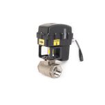 Raven 1-1/2" Fast Valve Assembly 0630173626