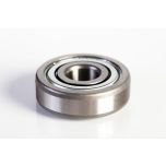 202NPP9 Cylindrical Roller Bearing