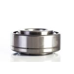 DC211TTR21 Disk Chisel Gang Bearing
