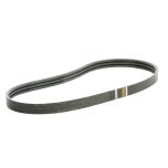194528C2 Combine Feeder House Drive Belt fits Case-IH