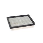 Baldwin PA3929 Cab Air Filter