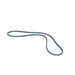 A&I B79 Classical 82" V-Belt 