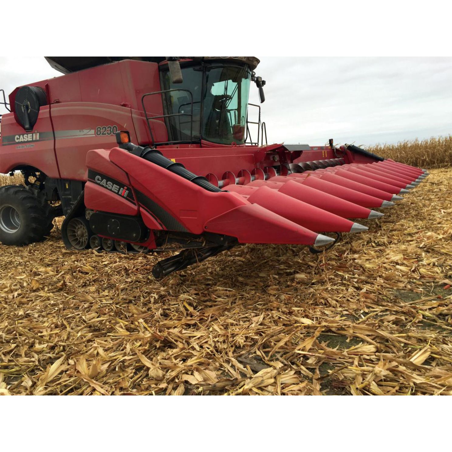 Yetter 5000-030C Corn Head Stalk Devastator 4408 fits Case-IH