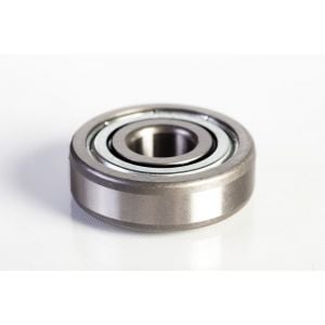 202NPP9 Cylindrical Roller Bearing